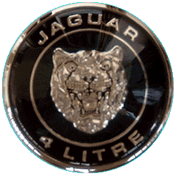 74.jaguar3
