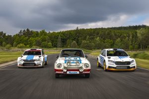 рали шкода ада да