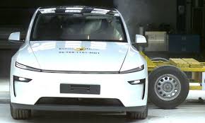 фауве тест 5 старс