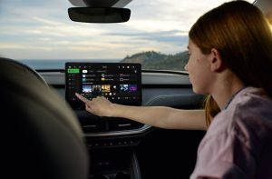 шкода игра1