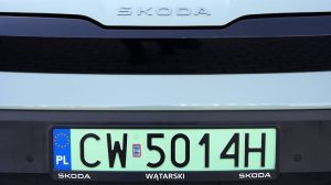 шкода3